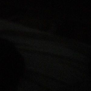 Meet your Posher, Priscilla